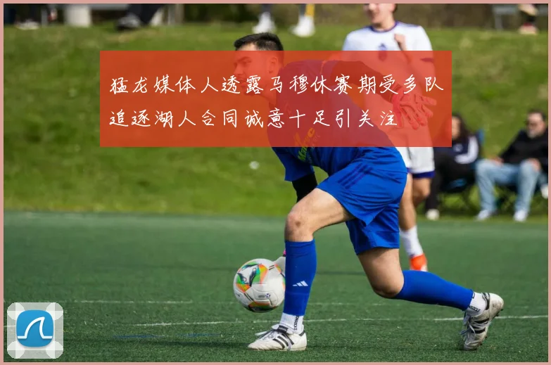 猛龙媒体人透露马穆休赛期受多队追逐湖人合同诚意十足引关注