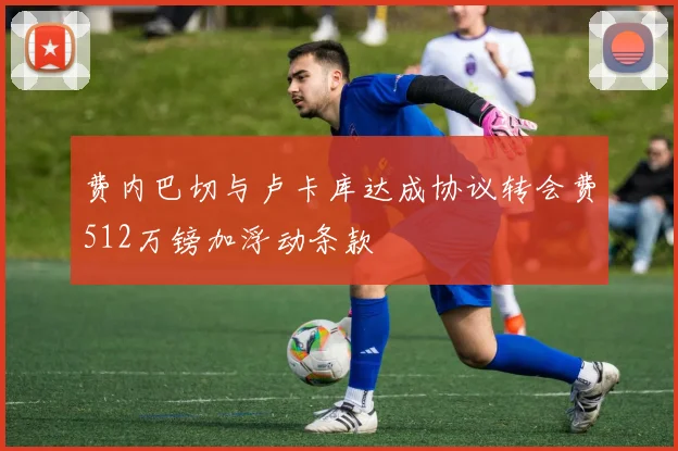 费内巴切与卢卡库达成协议转会费512万镑加浮动条款